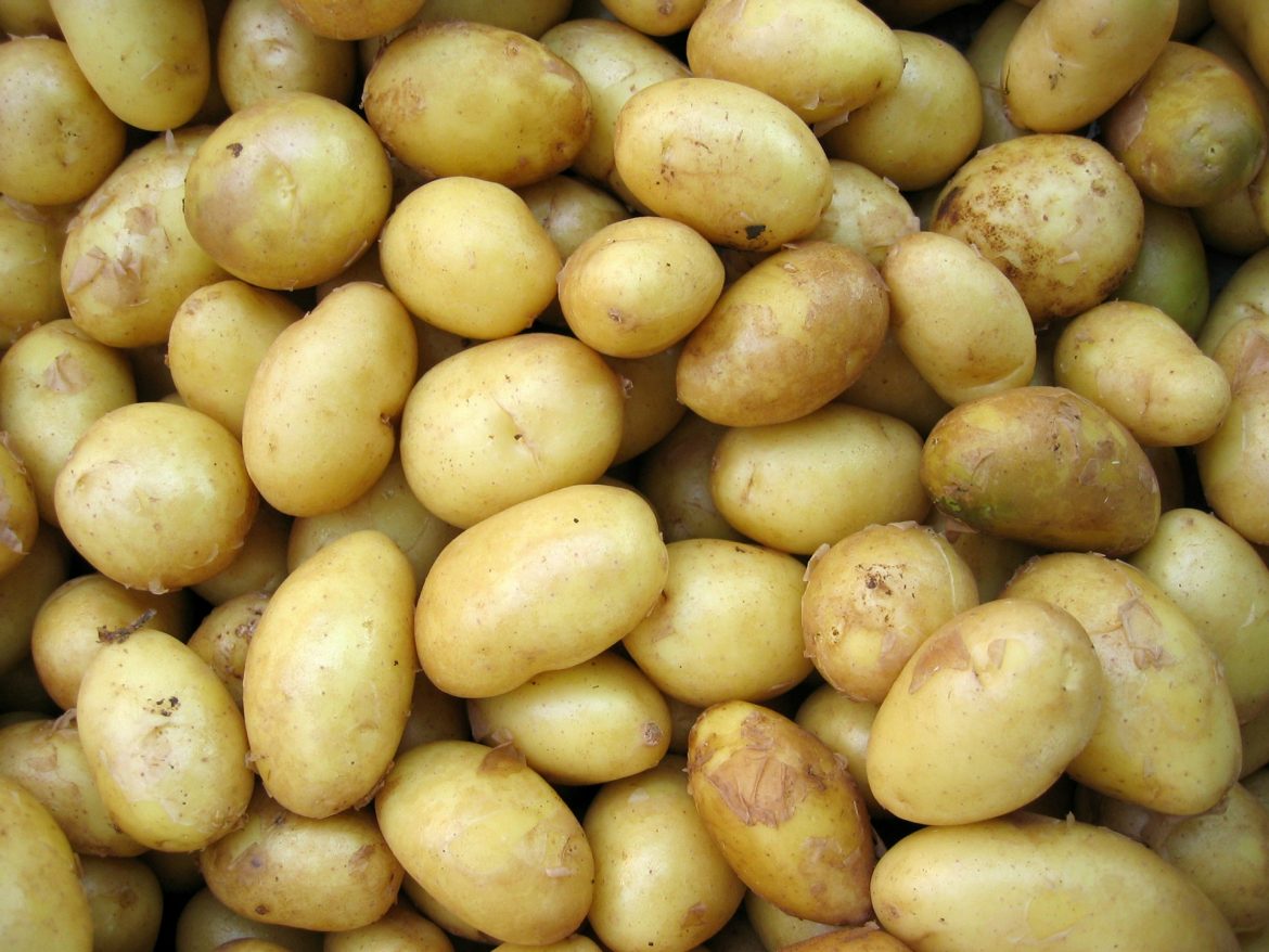 US Potato Sector Rejoices Over Enhanced Entry into Mexican Market